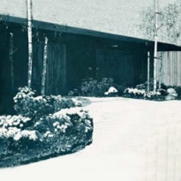 year-addition-image